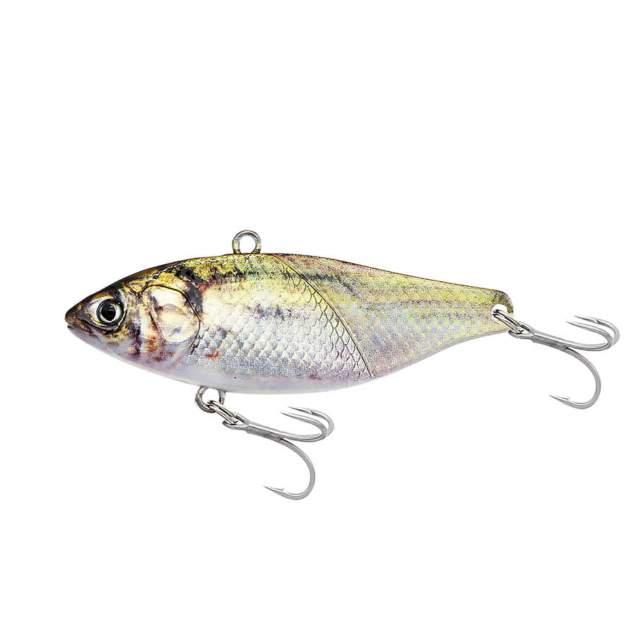 Little Jack More Keen 02