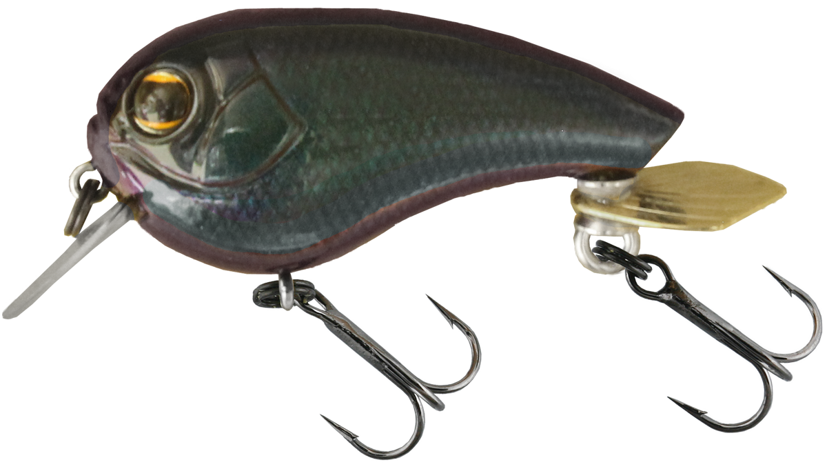 Imakatsu Little Bats