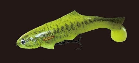 Signal Devil Swimmer