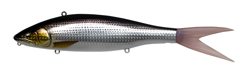 Fish Arrow VT Jack 210