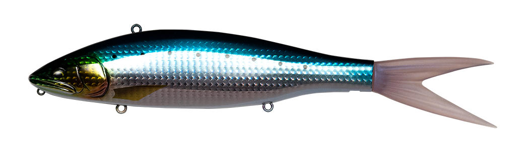 Fish Arrow VT Jack 210