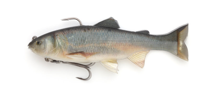 Imakatsu Lazy Swimmer