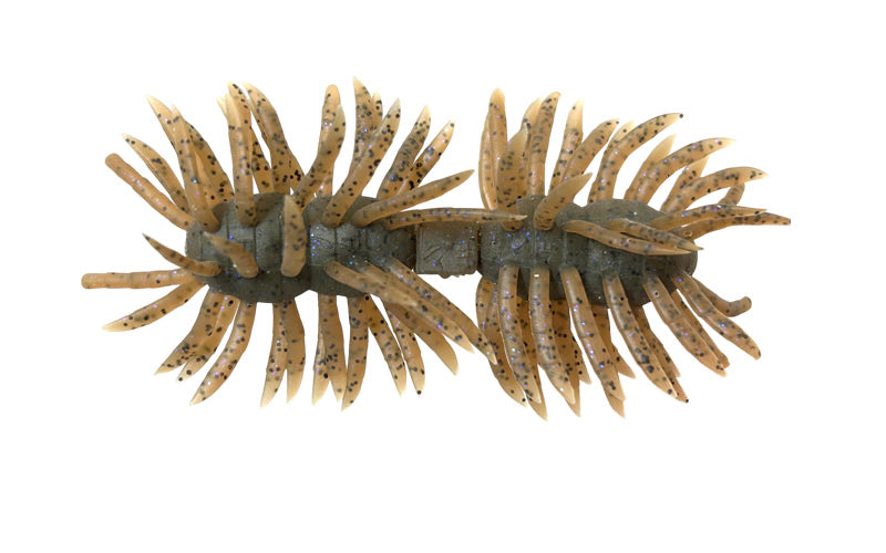 Imakatsu Hairy Spider KUJALA