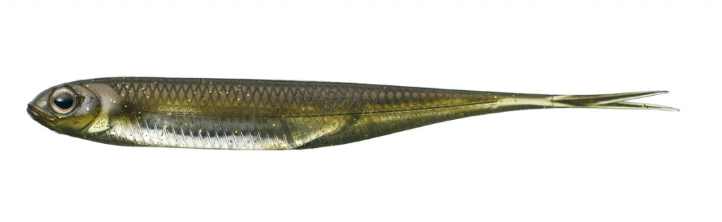 Fish Arrow Flash J Split 5"