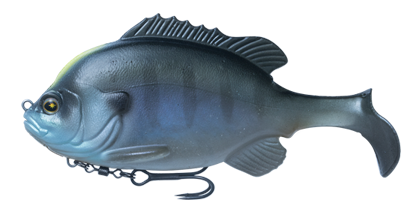 Flash Union Gill Swimmer