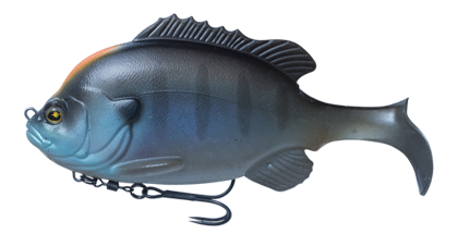 Flash Union Gill Swimmer