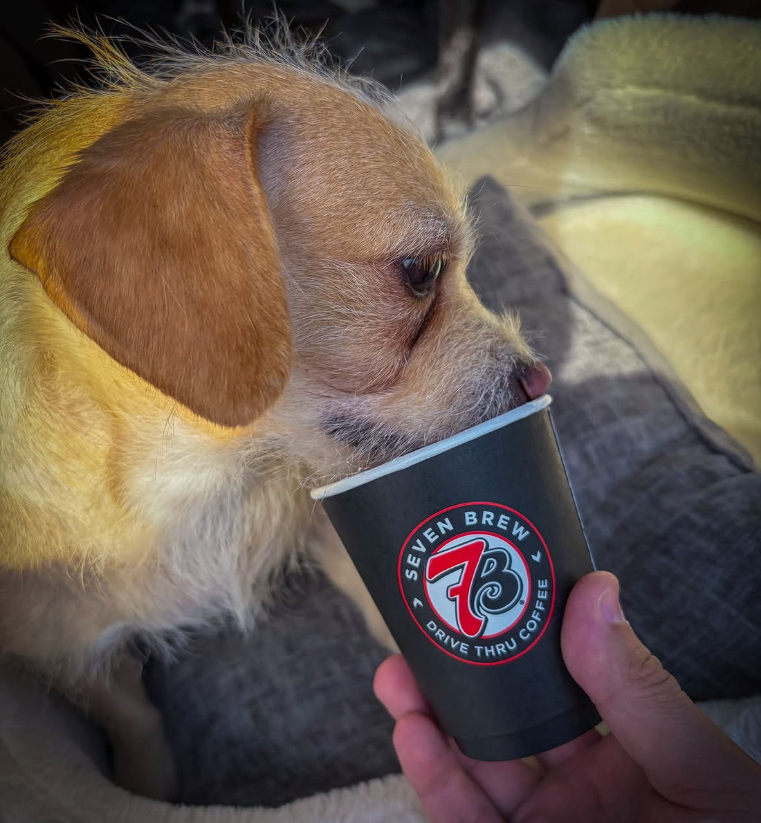 What's your "Fishing Fuel"?
