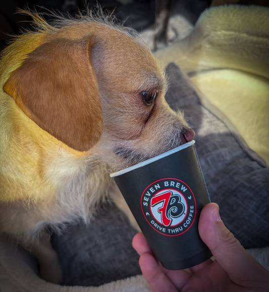 What's your "Fishing Fuel"?