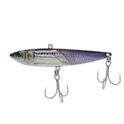 Little Jack More Keen 01