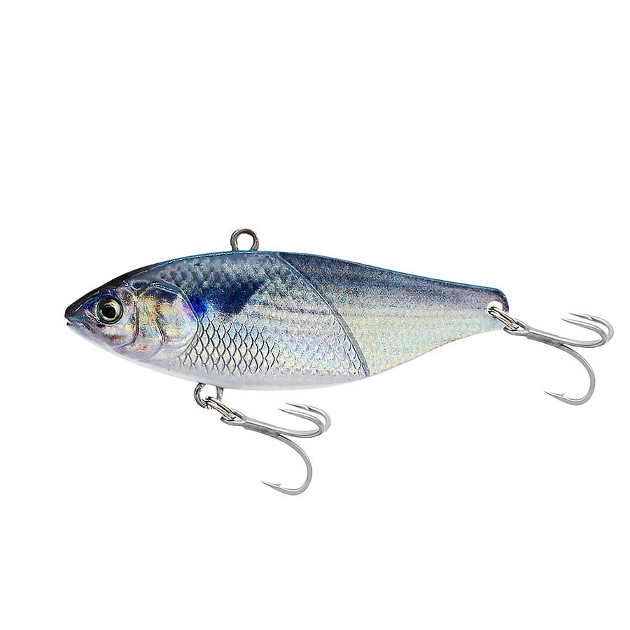 Little Jack More Keen 02 – Japan Import Tackle