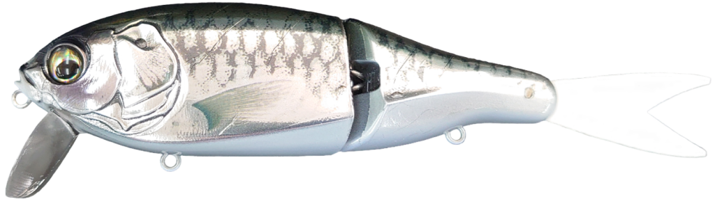 EISVOGEL SLOWTH 150