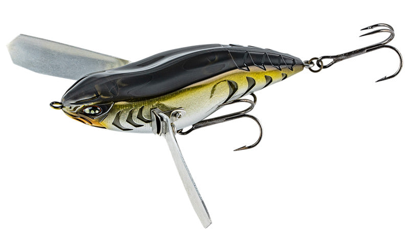 Imakatsu Aventa Crawler Origin