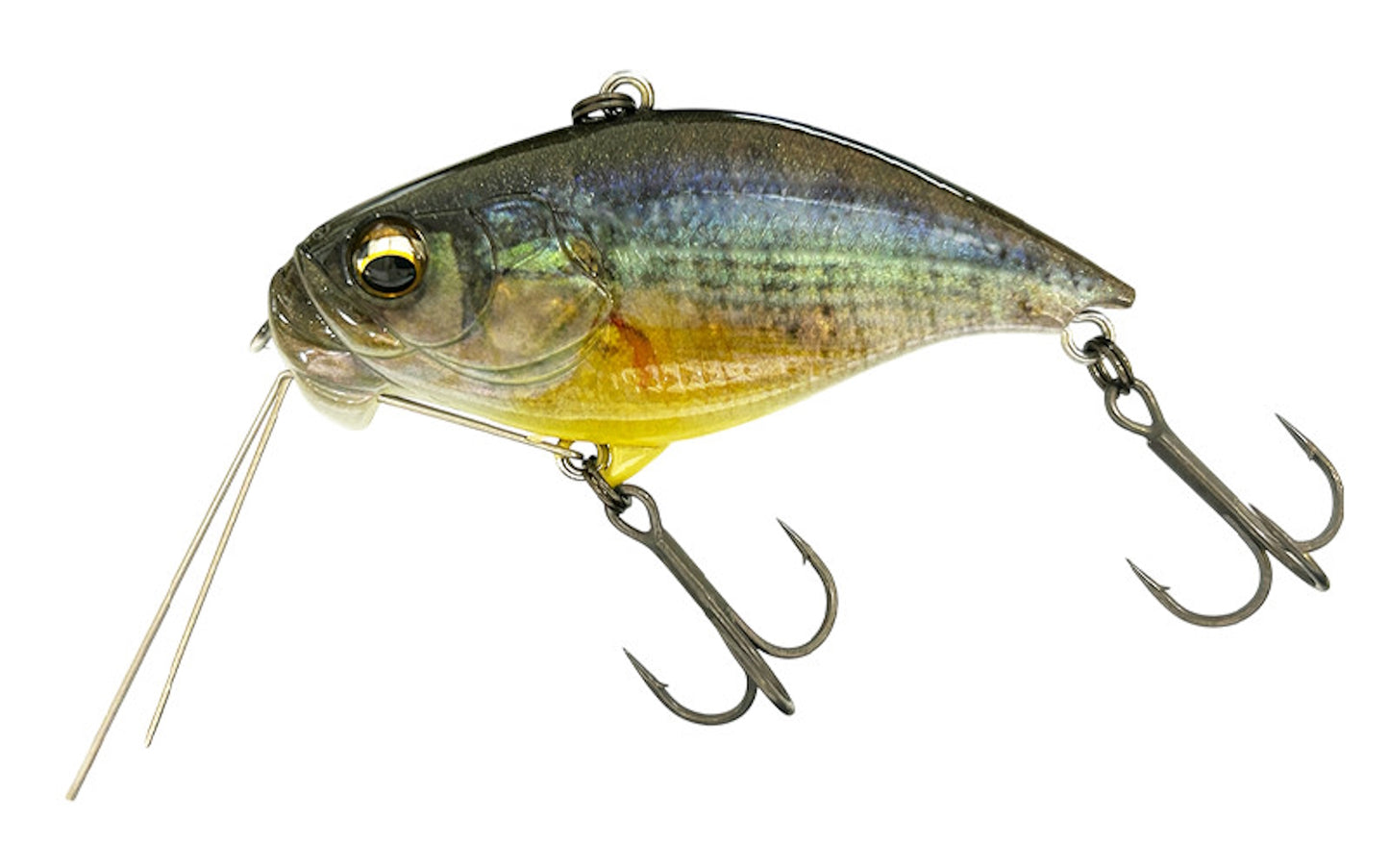 Imakatsu FD VIB Lipless