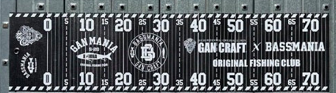 Gan Craft Measure