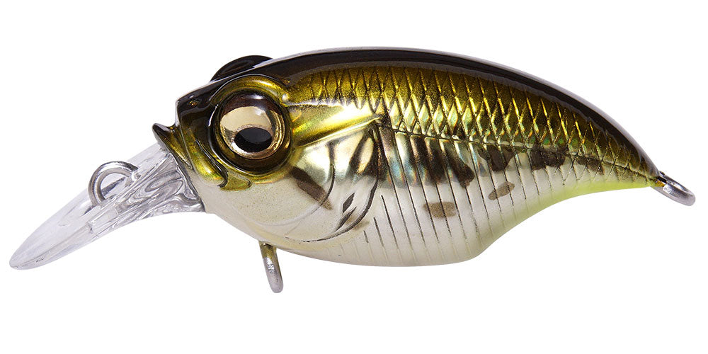 MegaBass Griffon Bait Finesse