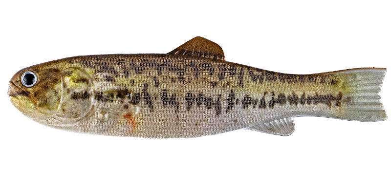 Imakatsu BASS WORM 145