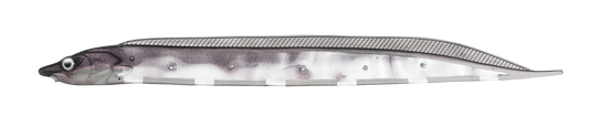 Fish Arrow Flash J Shirasu 3" SW