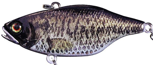 Leurre Vibrant Jackall TN 50 Full Tungsten - Double Clutch Gold Black (9,5g - 52mm) - Neuf