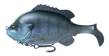 Flash Union Gill Swimmer